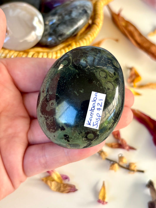 Kambaba Jasper Palm