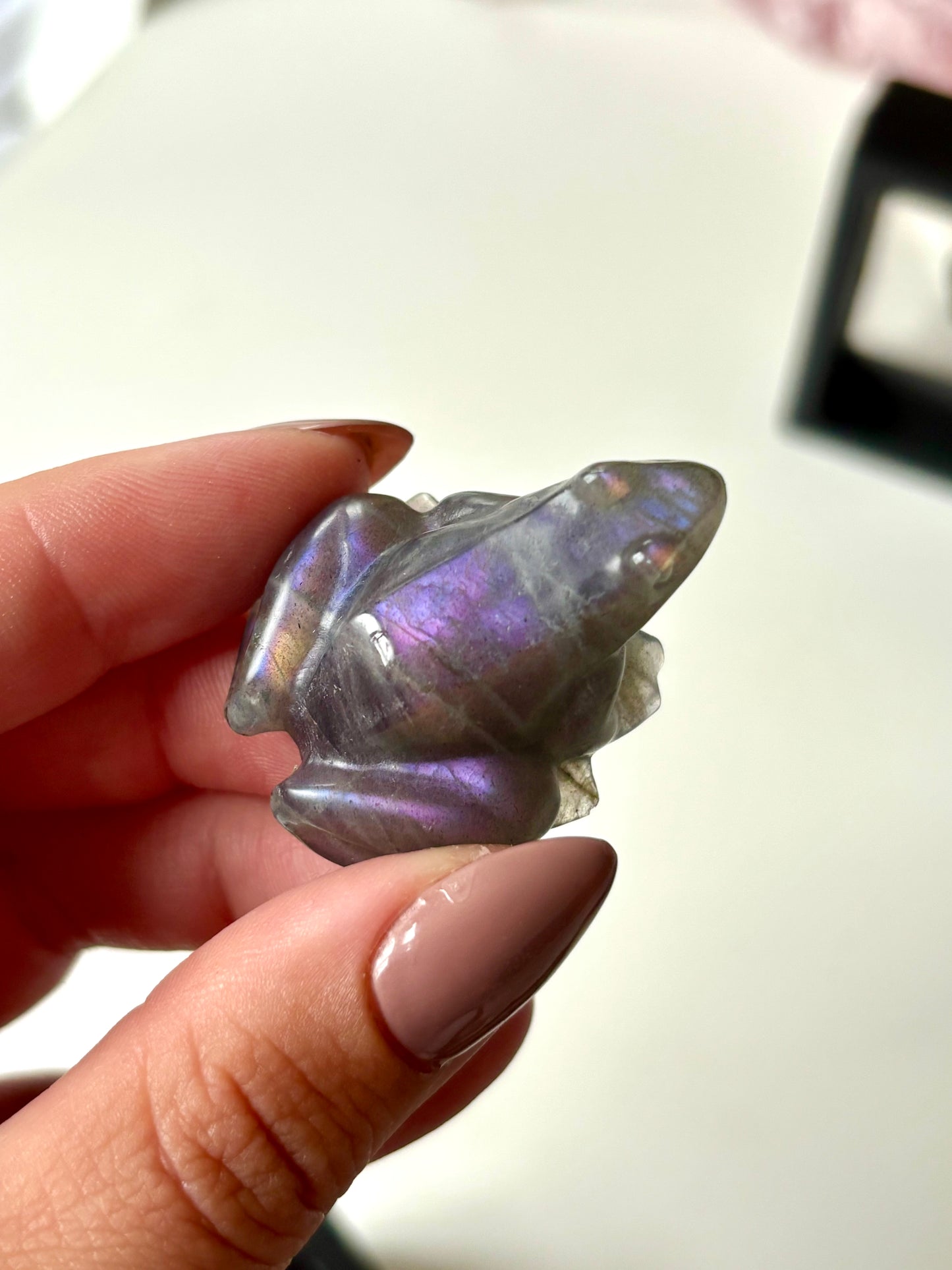 Frogs ๐ธ