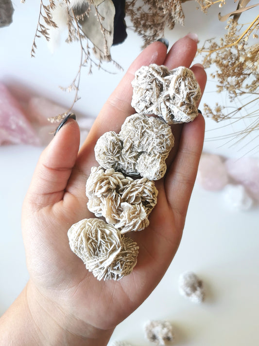 Desert Rose