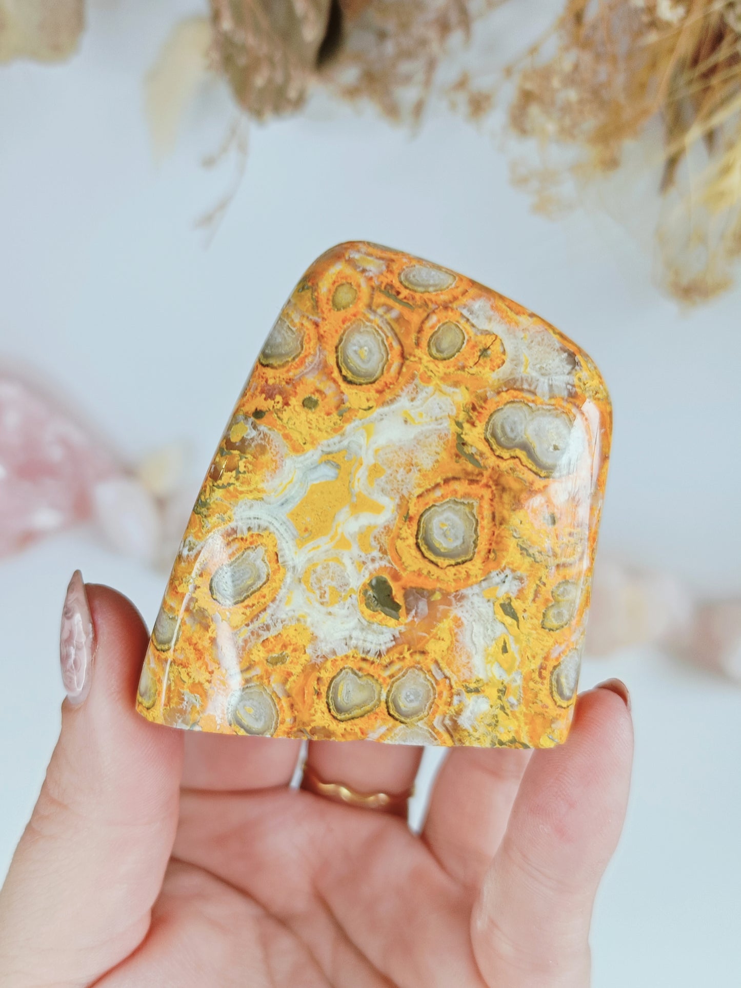Orbicular Bumblebee Jasper (Rare bulleye)