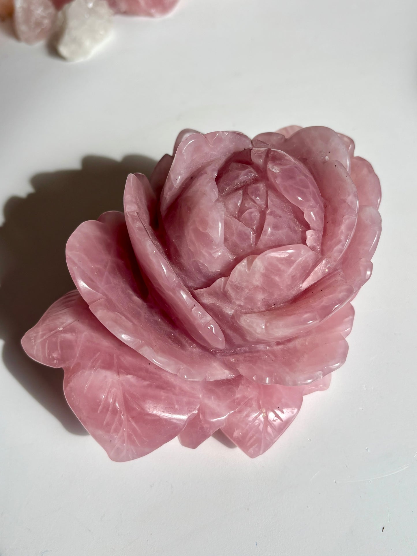 Large Rose Quartz Rose