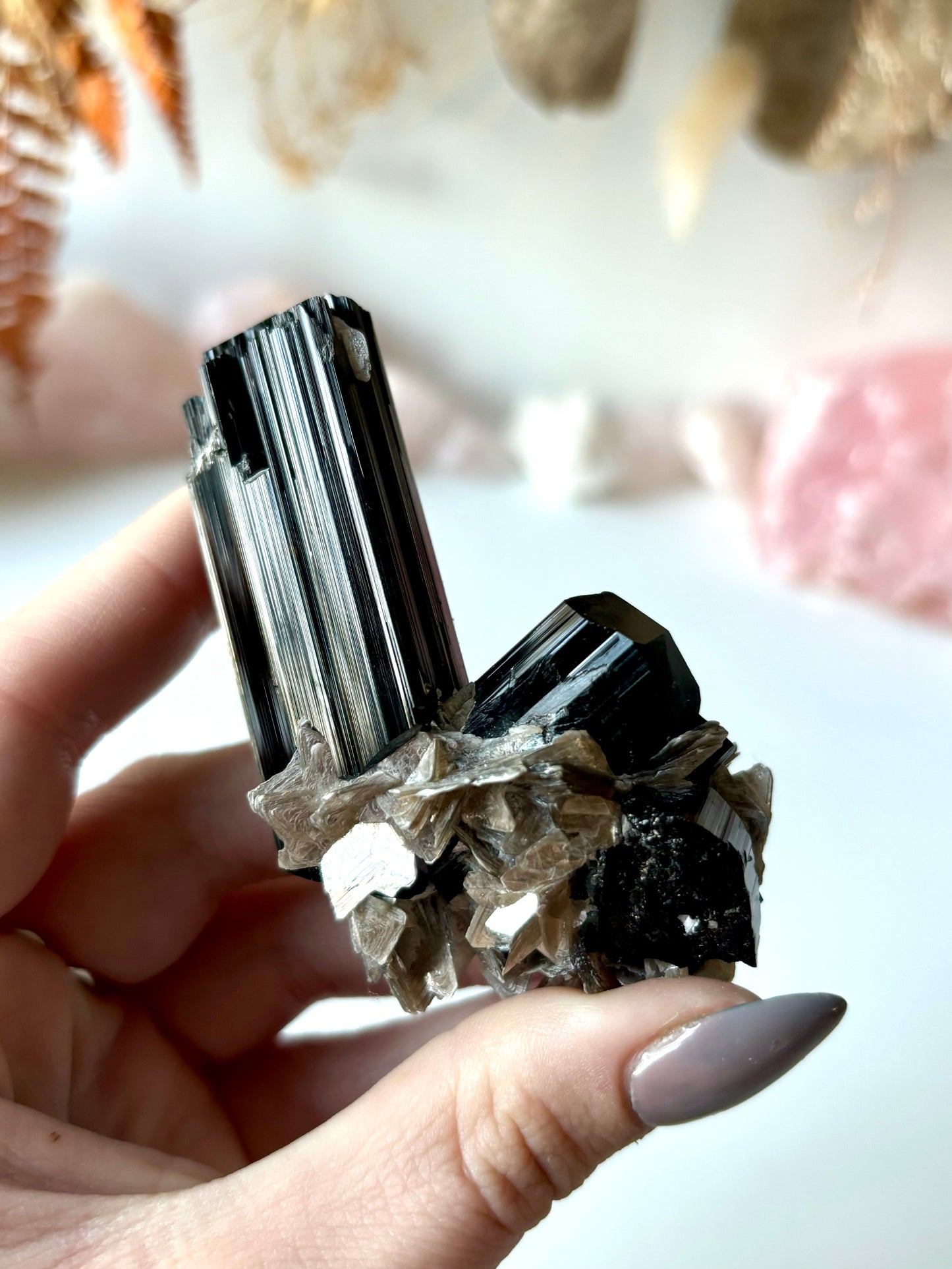 Schorl Tourmaline with Muscovite