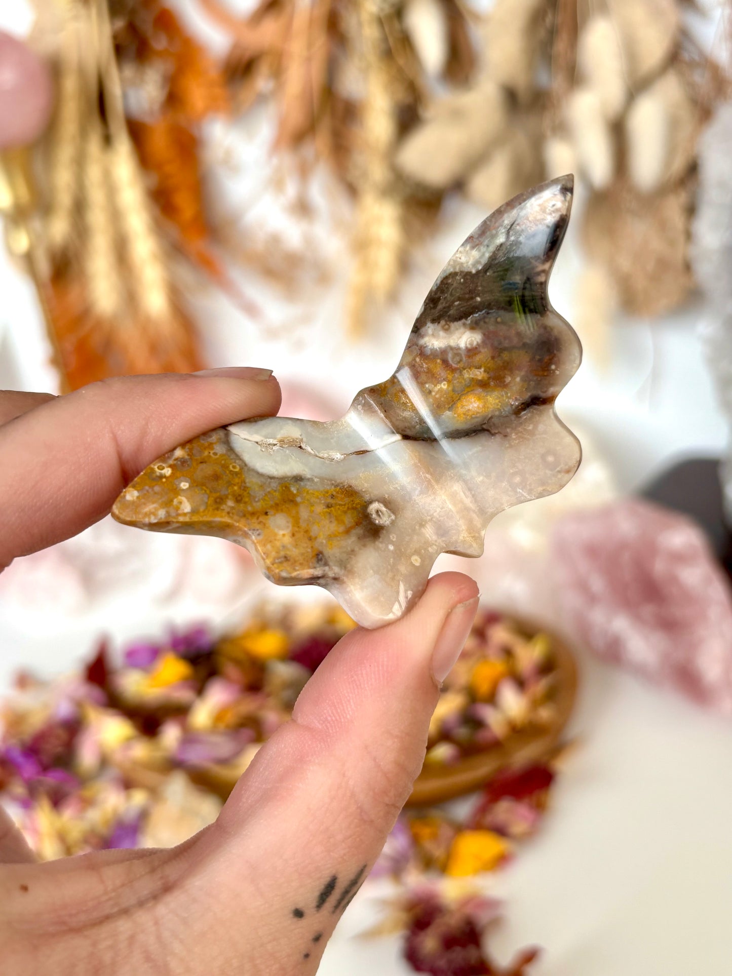 Petrified Wood Butterfly