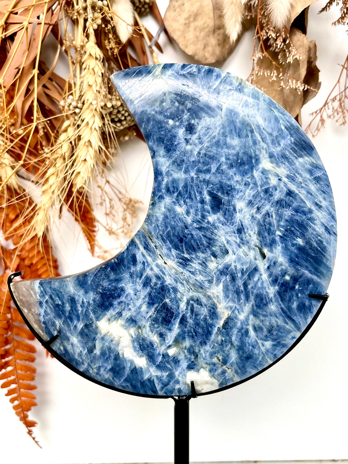 Blue Kyanite Large Moon on Black Stand