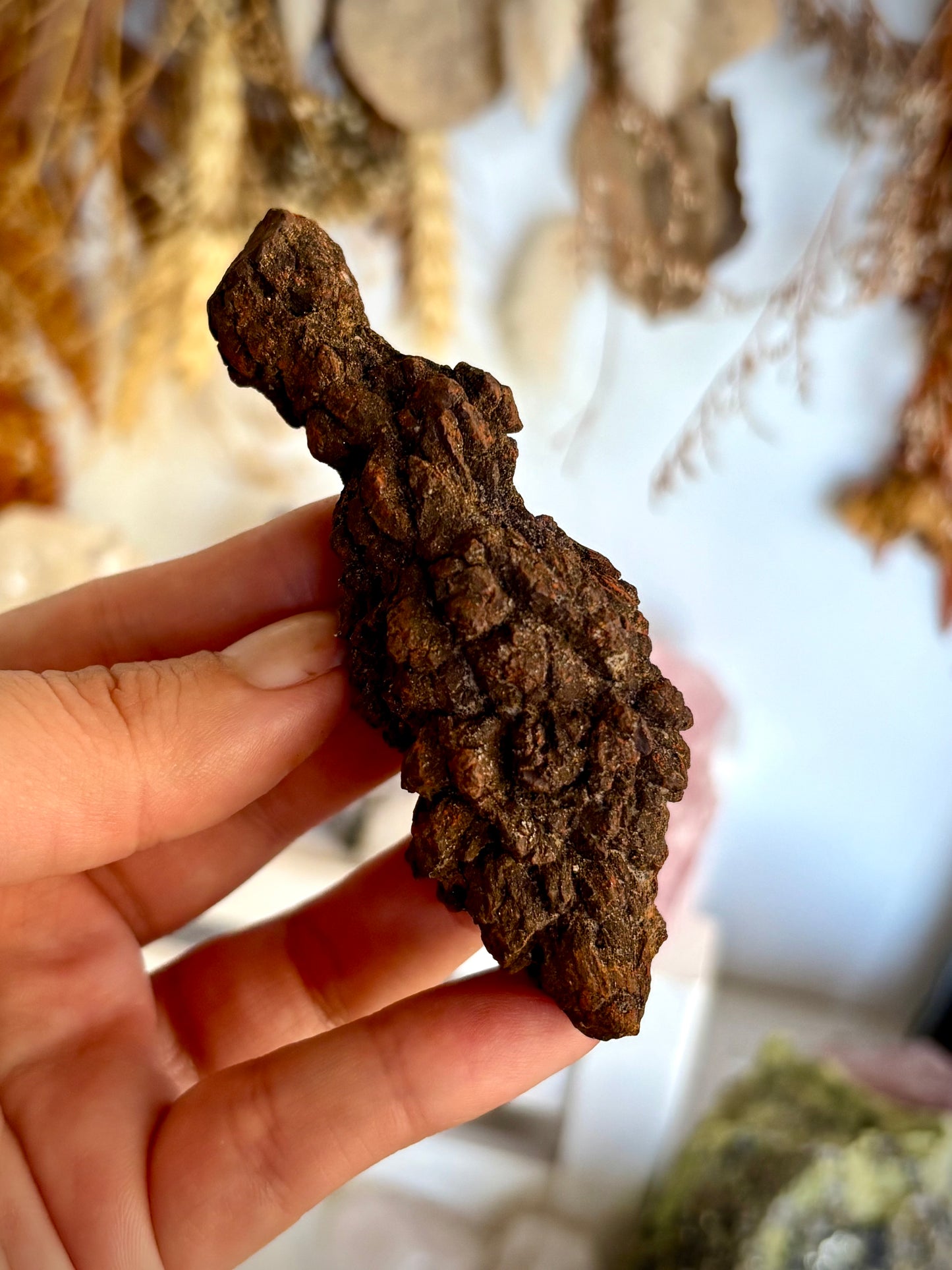Fossilised Dinosaur Crap - Coprolite (Copy)