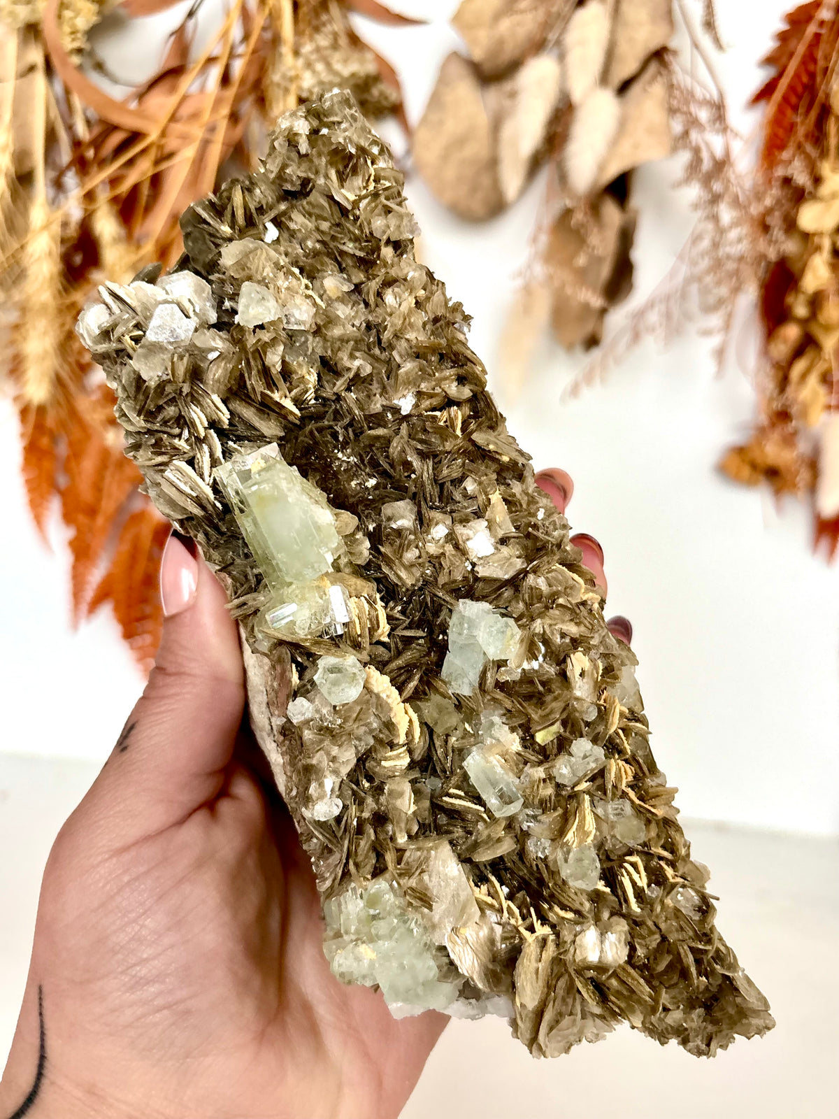 Aquamarine Crystals on Muscovite - Pakistan