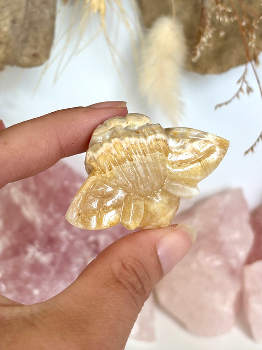 Golden Lace Agate Bee (3)