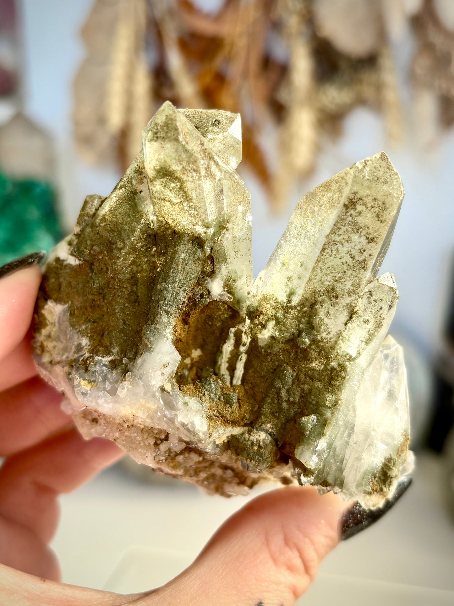 Chlorite Included Quartz