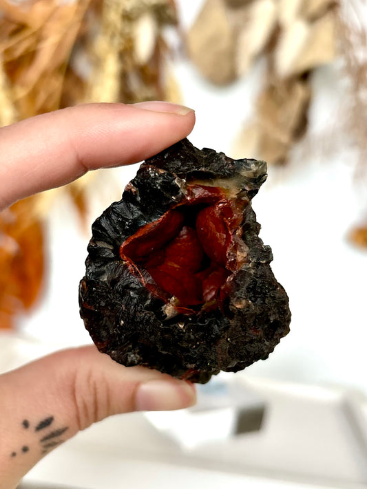 Red Fox Agate Botryoidal Geode (Rare)