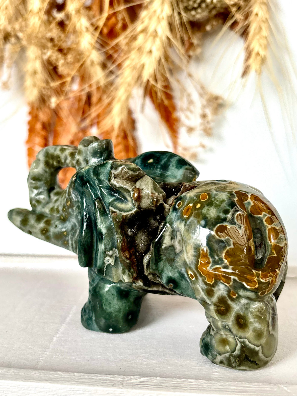 Ocean Jasper Elephant