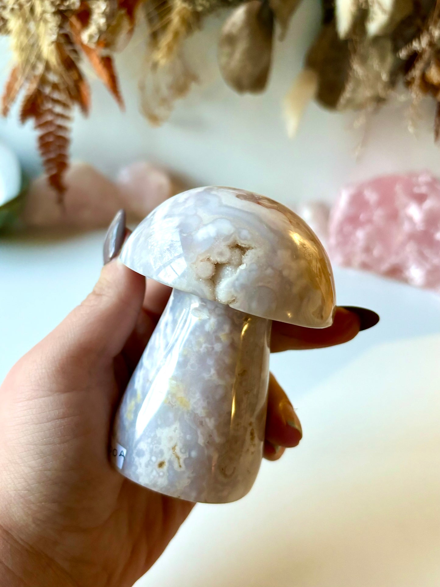 Flower Agate Mushroom (A)