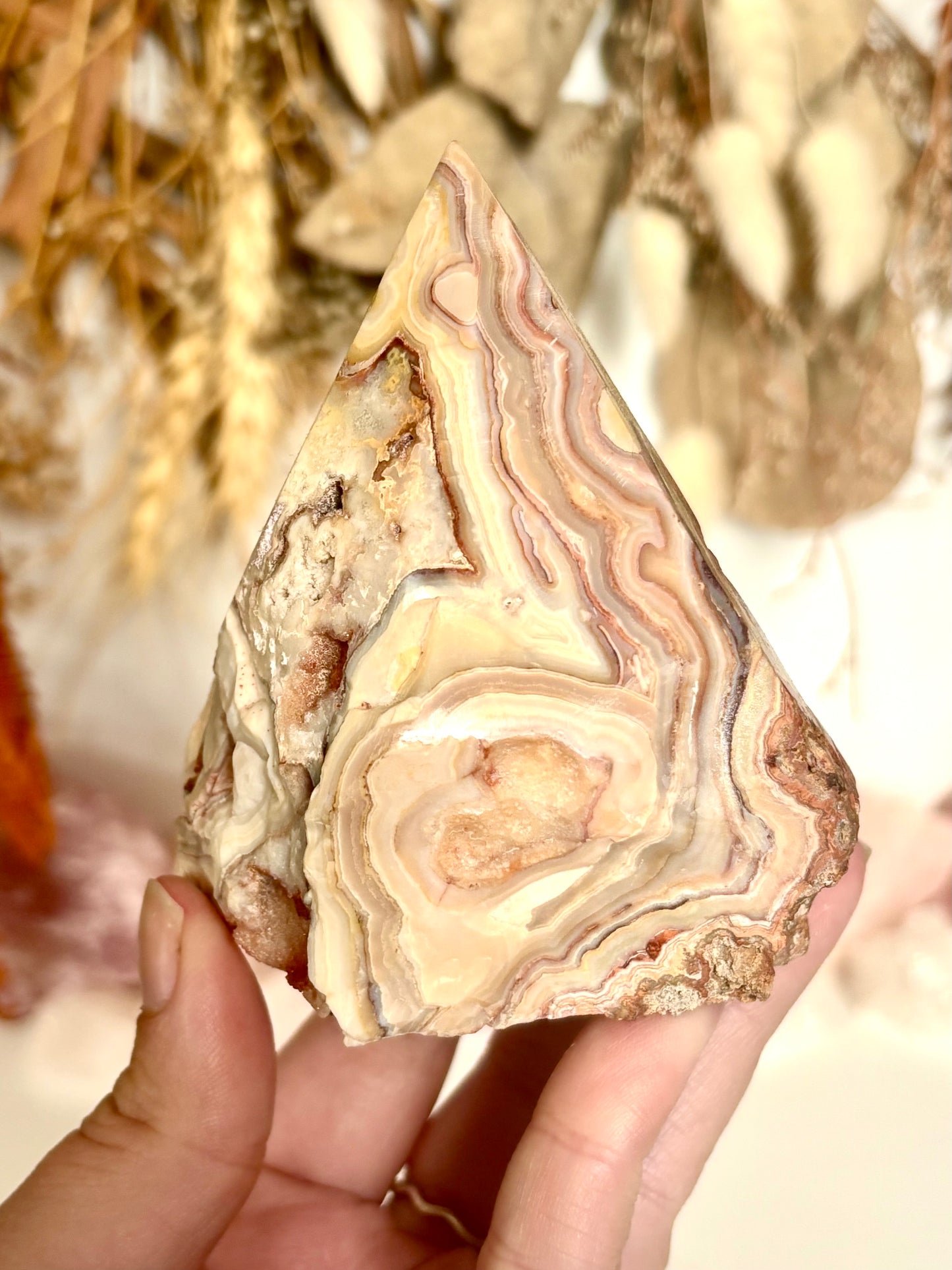 Crazy Lace Agate Cut Base (Indonesia)