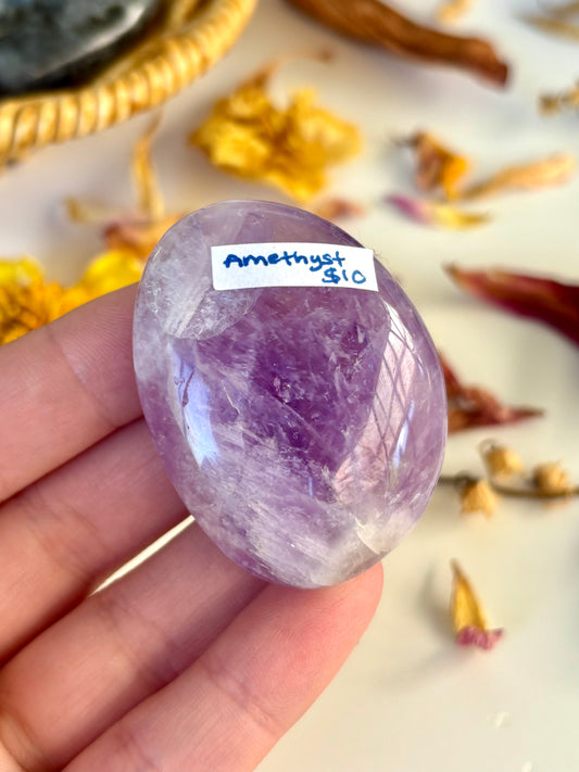 Amethyst Palm