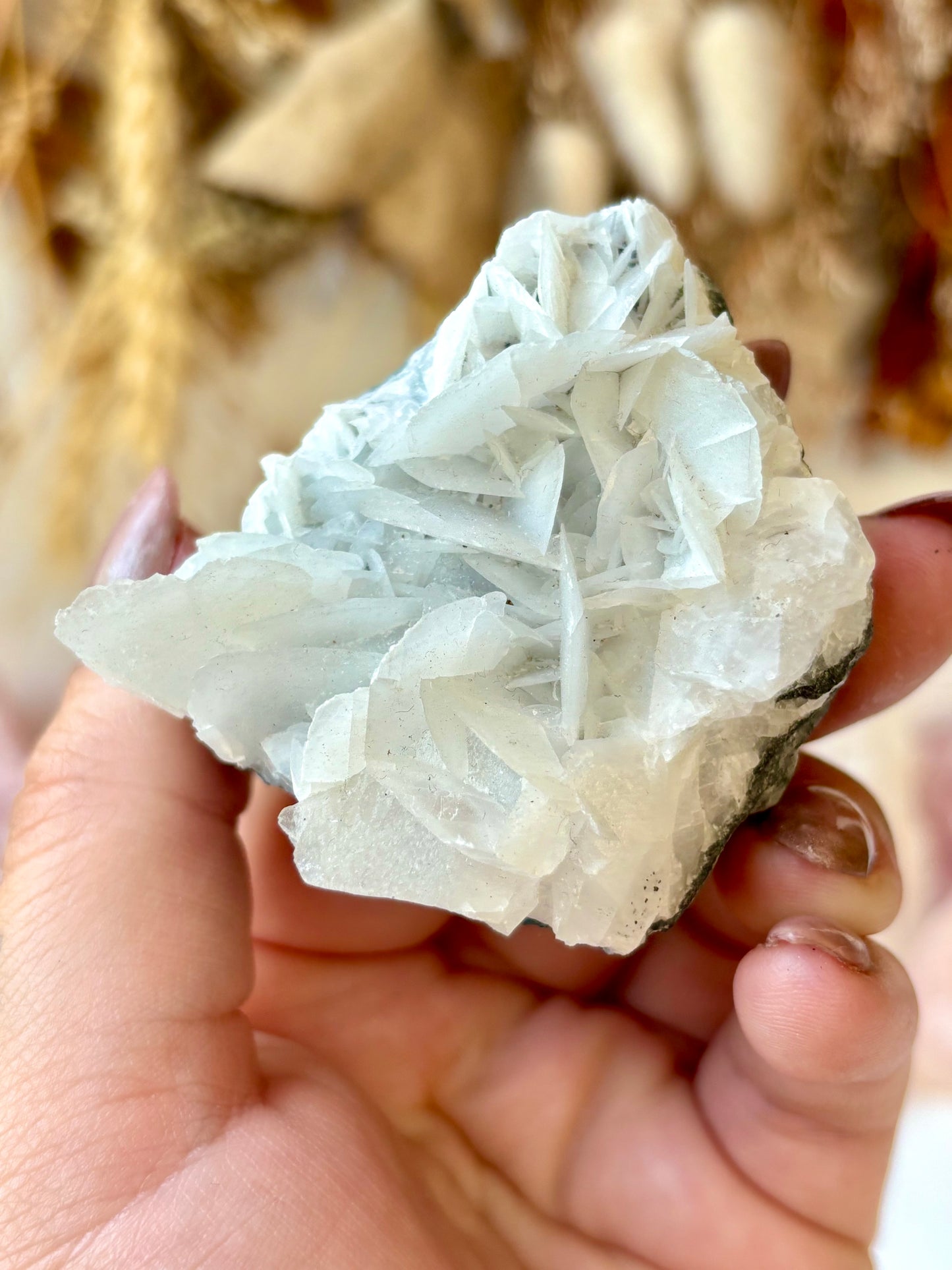 Angel Wing Calcite AA+