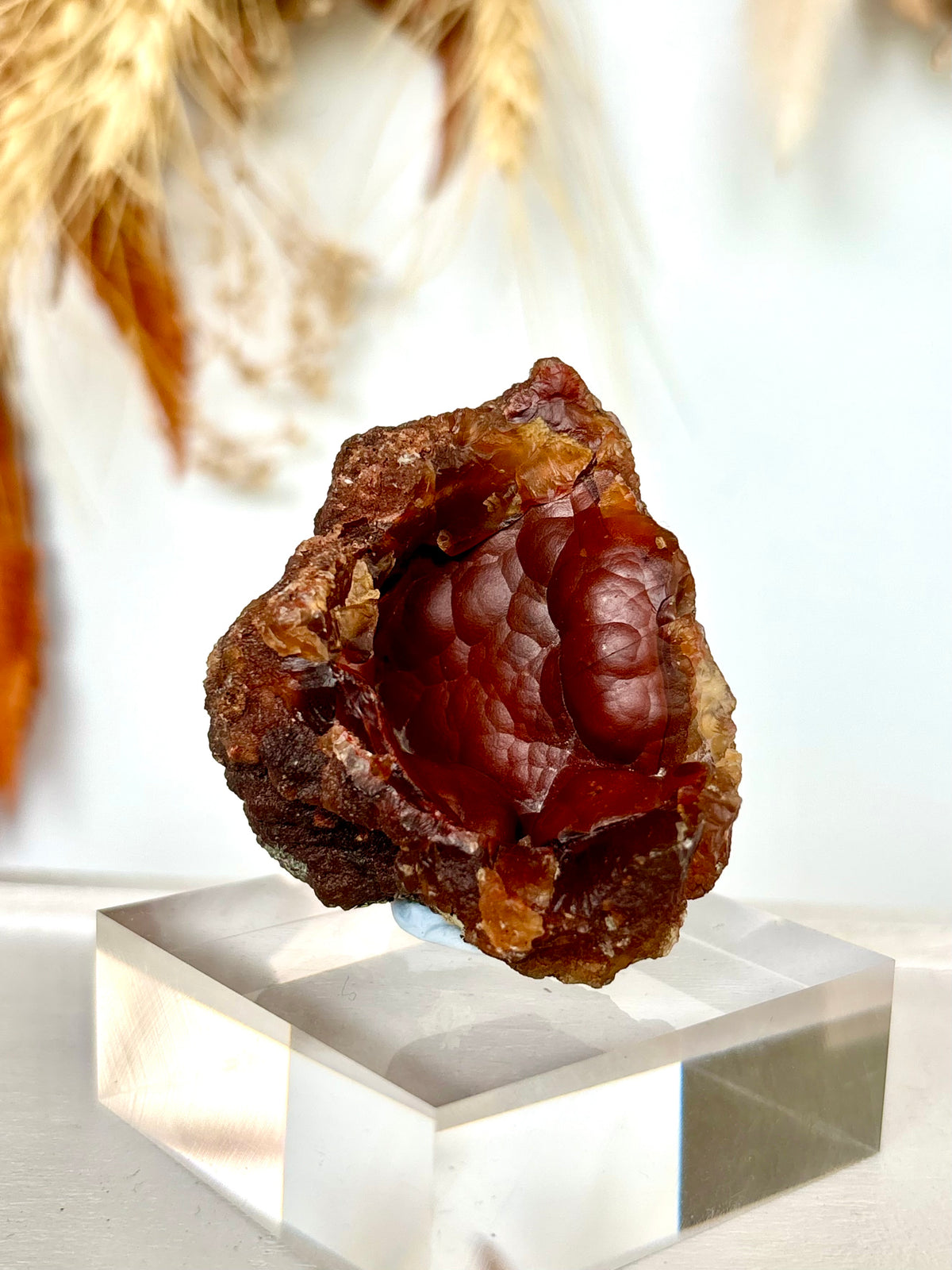 Red Fox Agate Botryoidal Geode (Rare) (08)