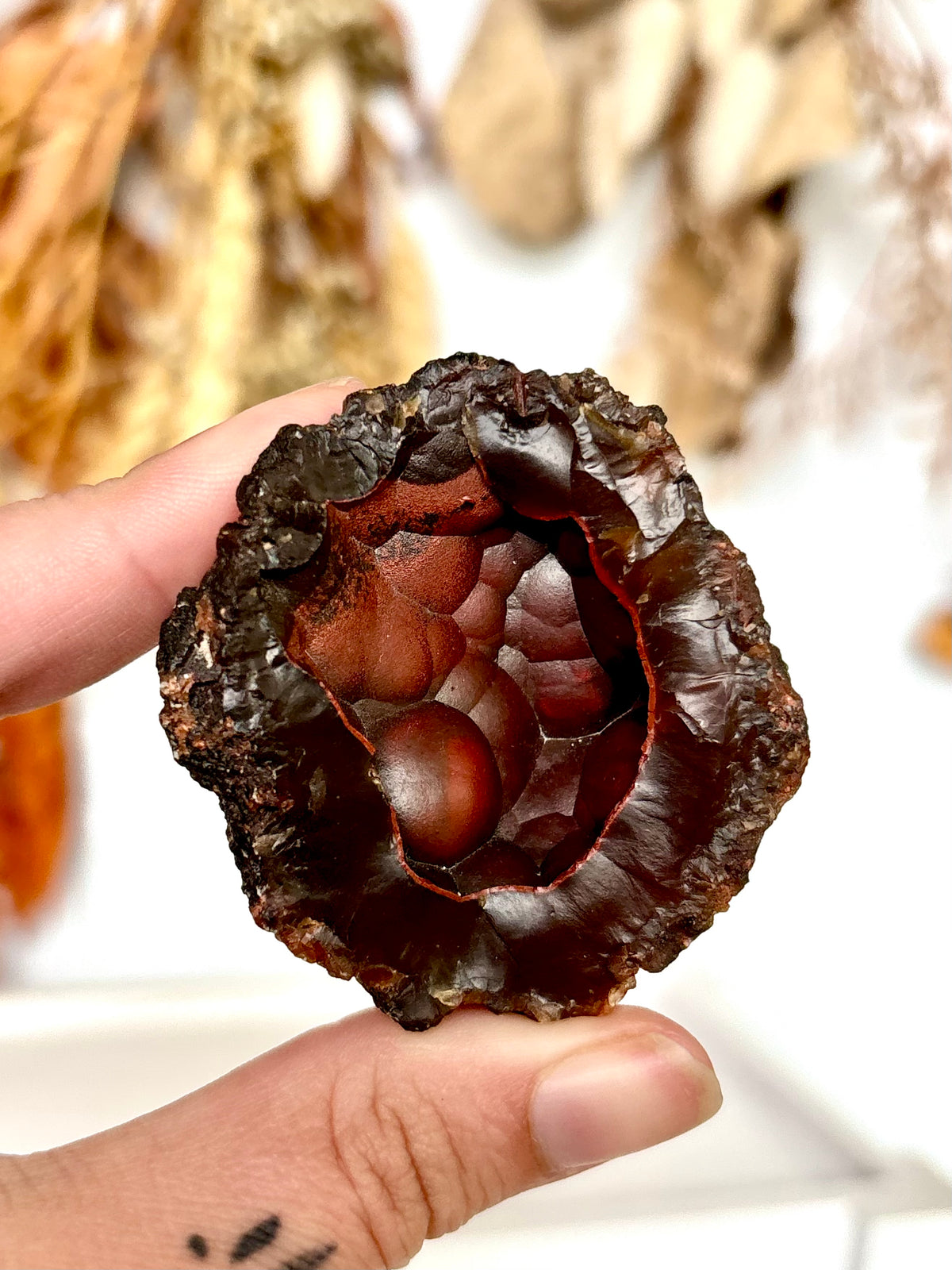 Red Fox Agate Botryoidal Geode (Rare) (06)