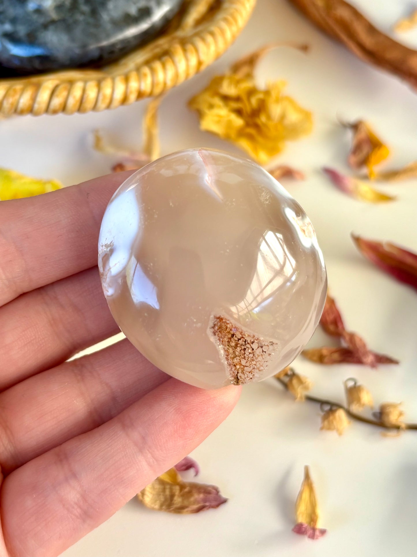 Orca Agate Palm with Druse