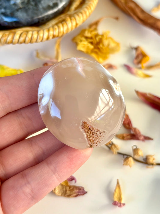 Orca Agate Palm with Druse