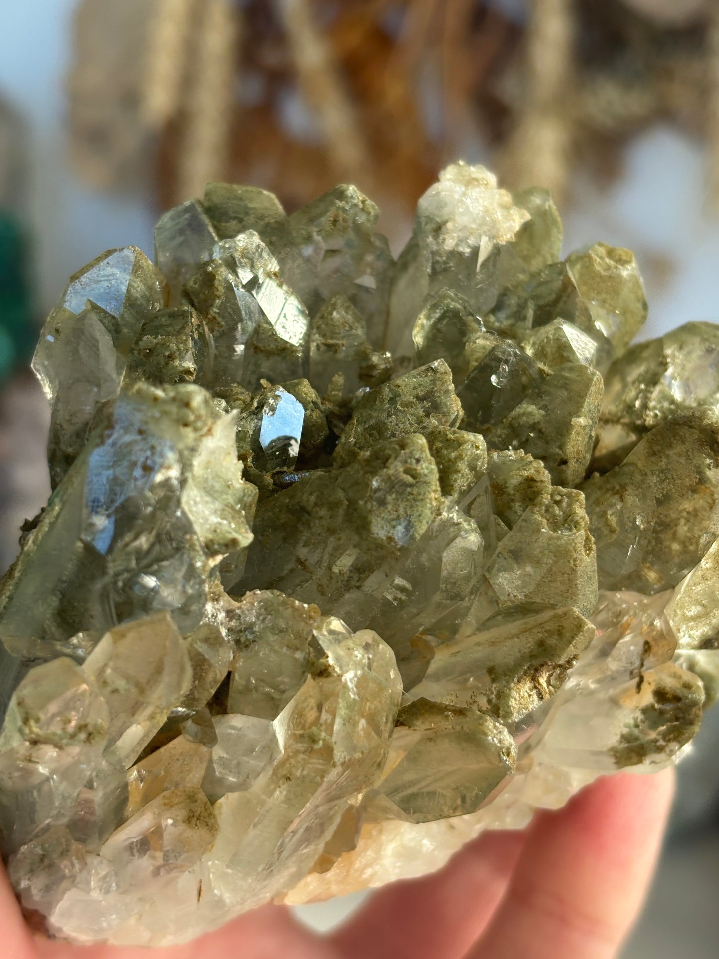 Chlorite Included Quartz