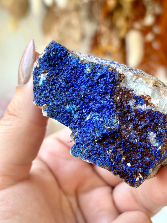Azurite on Matrix (Morocco)