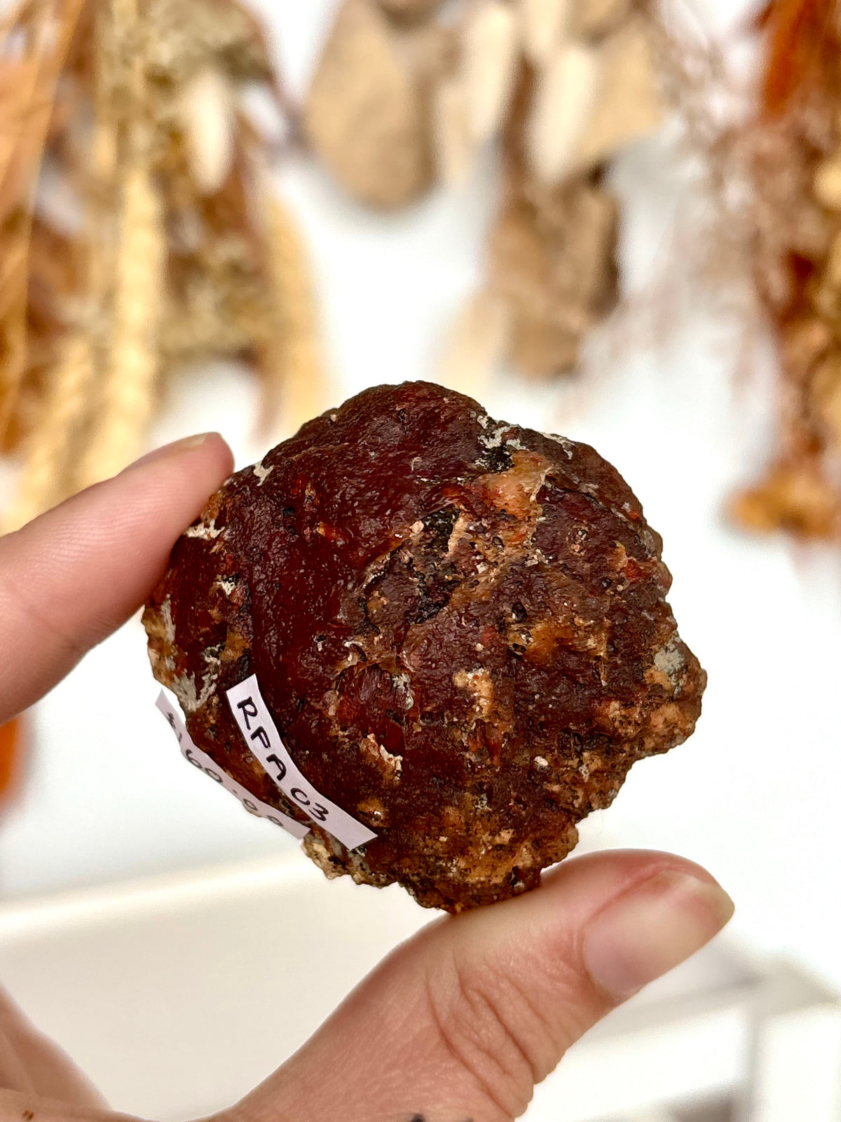 Red Fox Agate Botryoidal Geode (Rare)