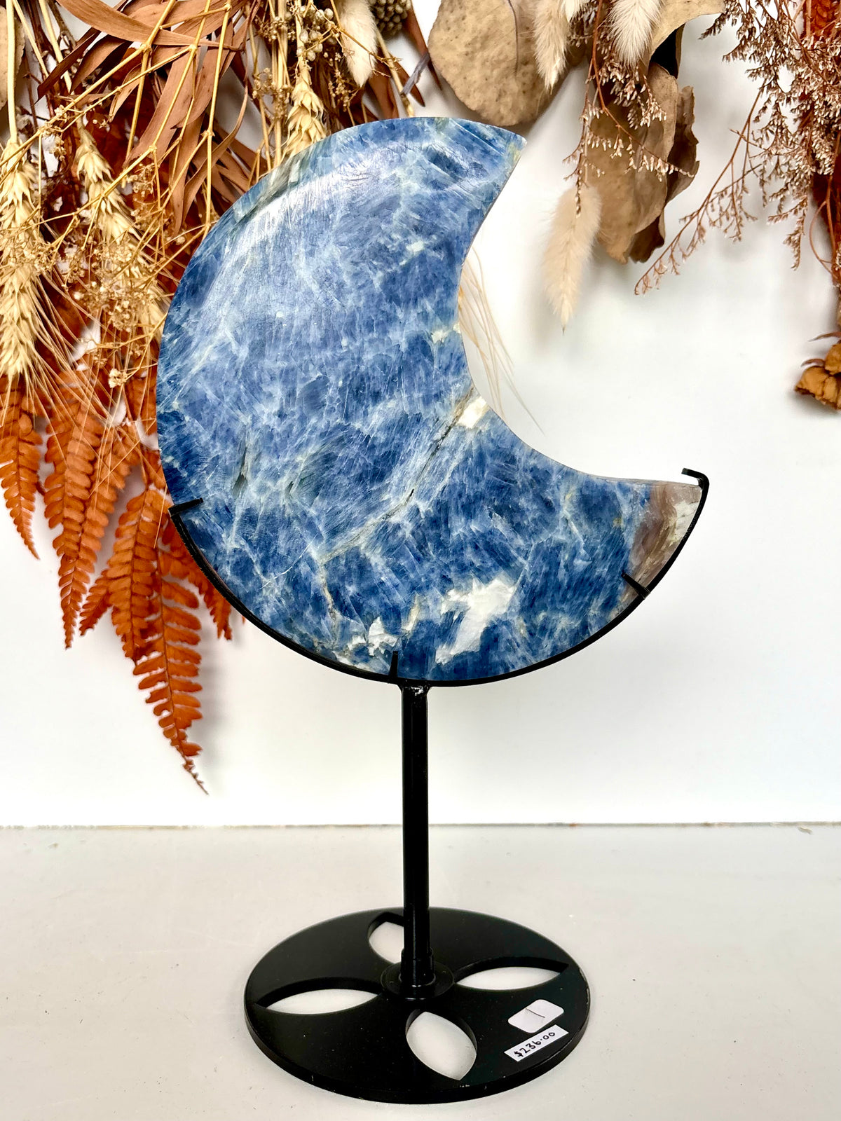 Blue Kyanite Large Moon on Black Stand