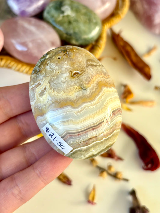 Yellow Lace Agate Palm