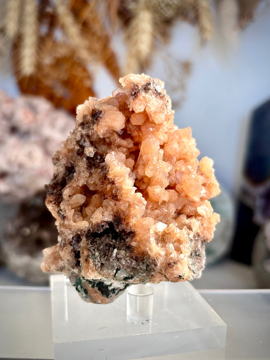 Orange Stilbite Cluster - Indonesia