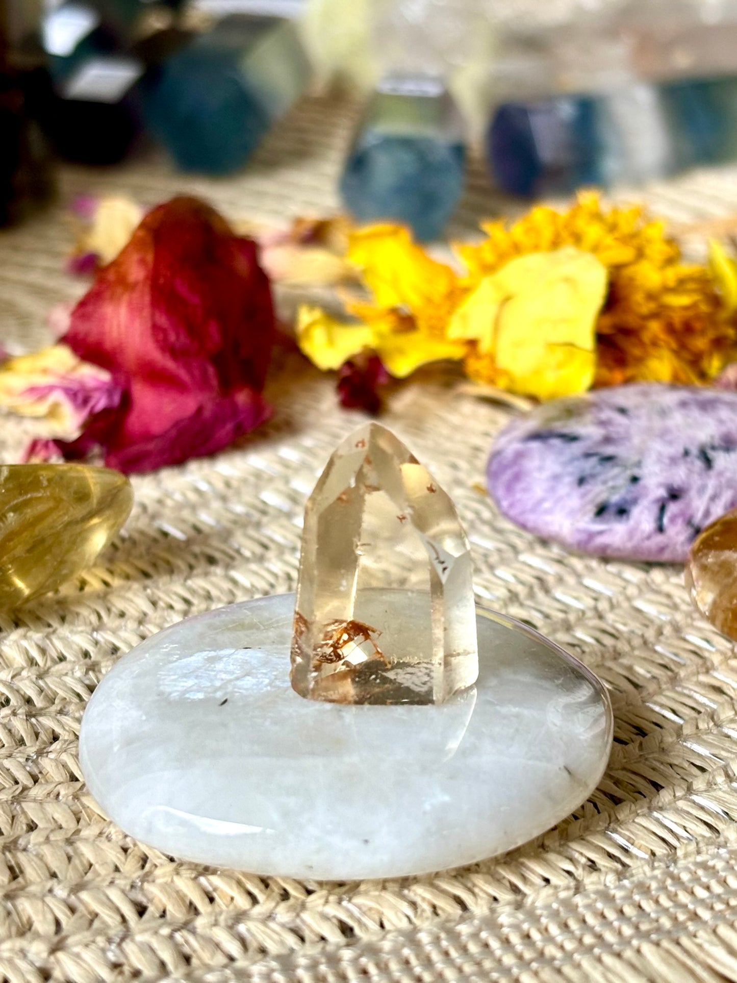 Natural Citrine Tiny Point - Africa