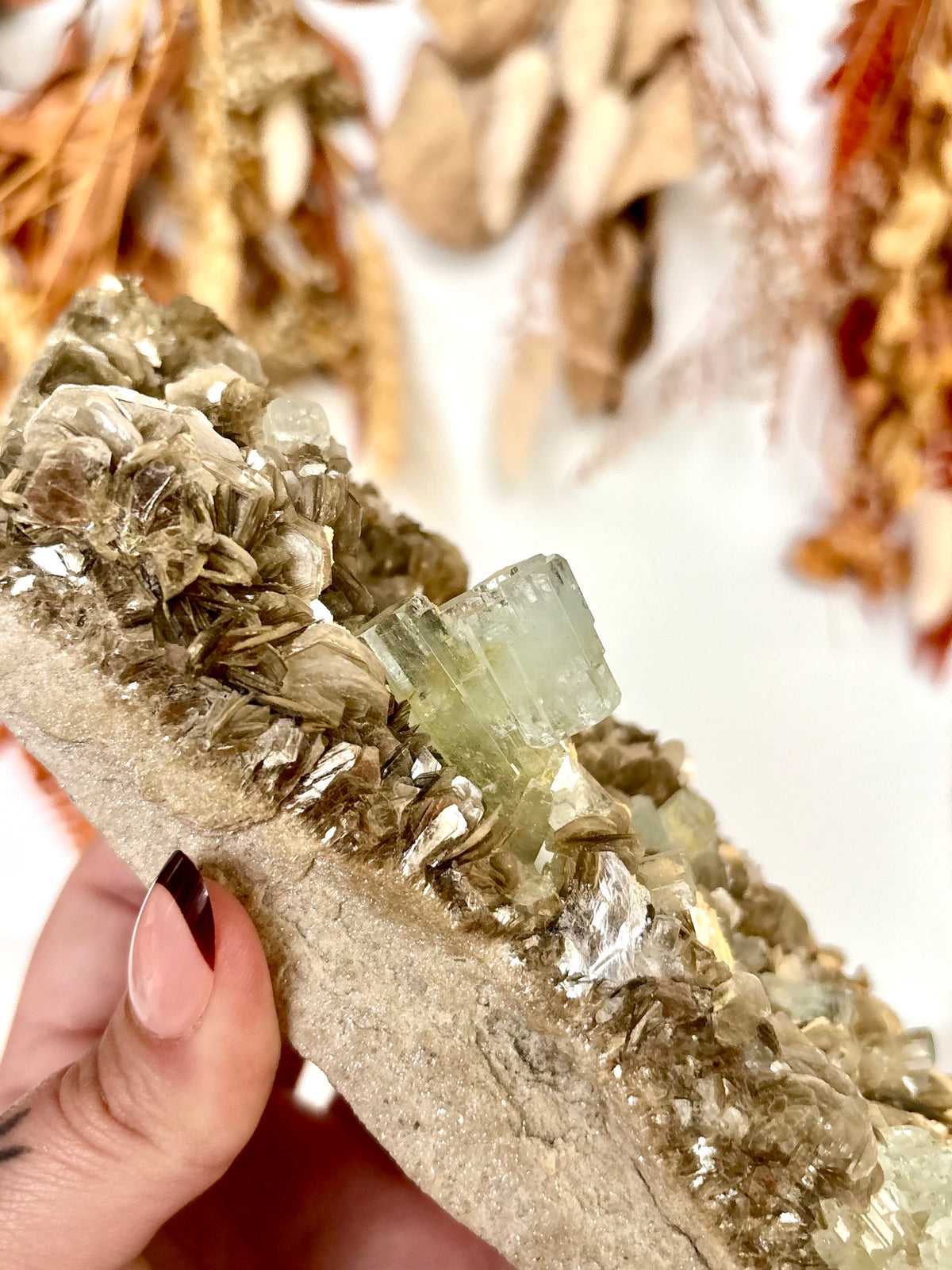 Aquamarine Crystals on Muscovite - Pakistan