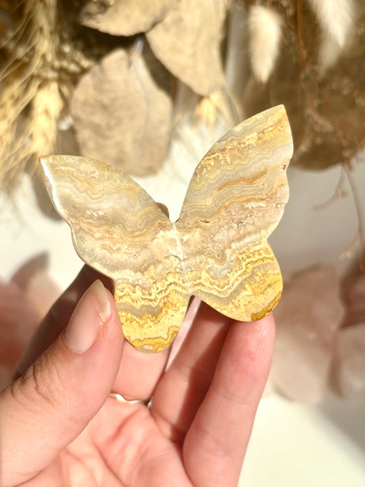 Golden Lace Agate 3D Butterfly