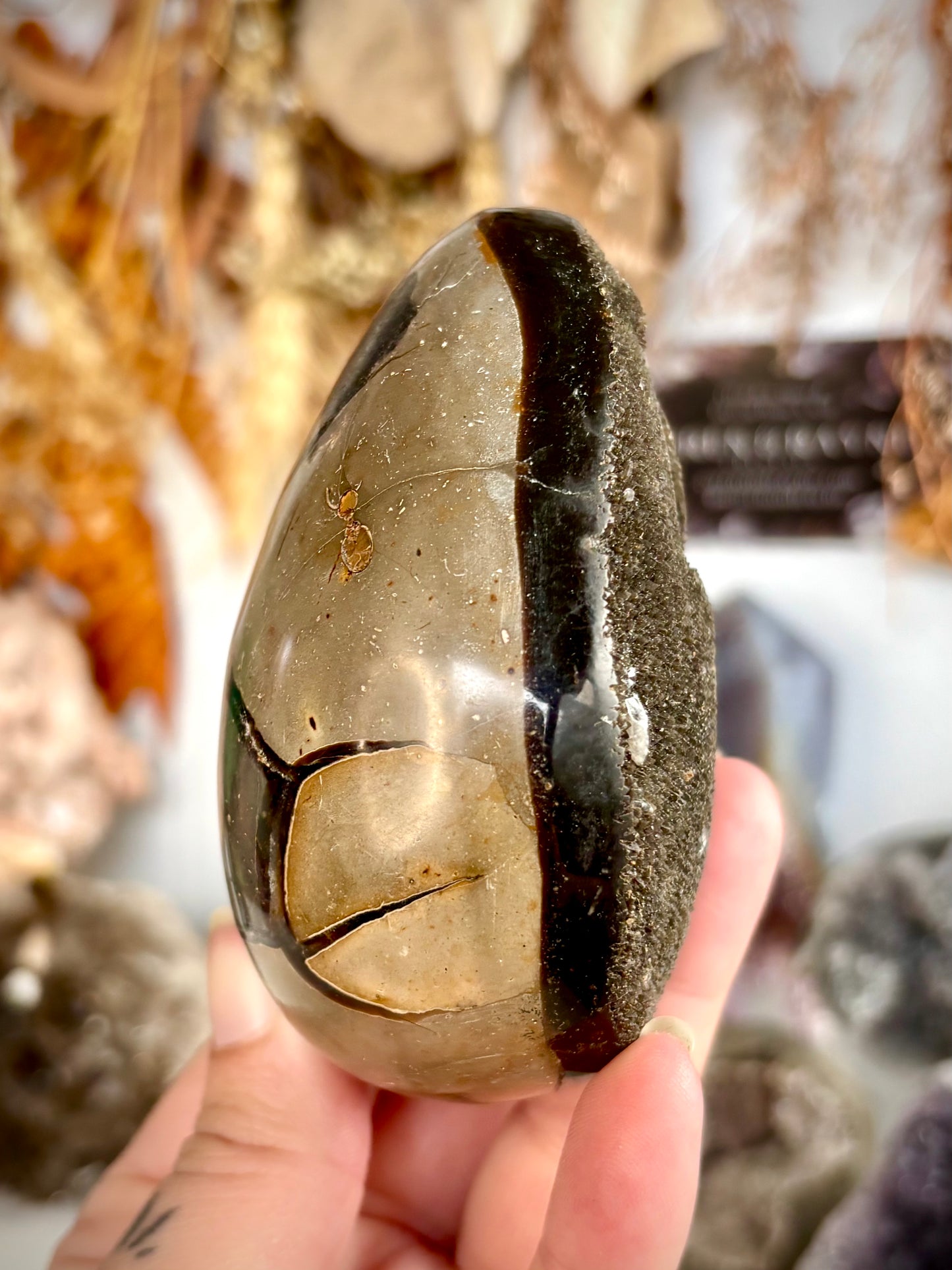 Septarian Egg