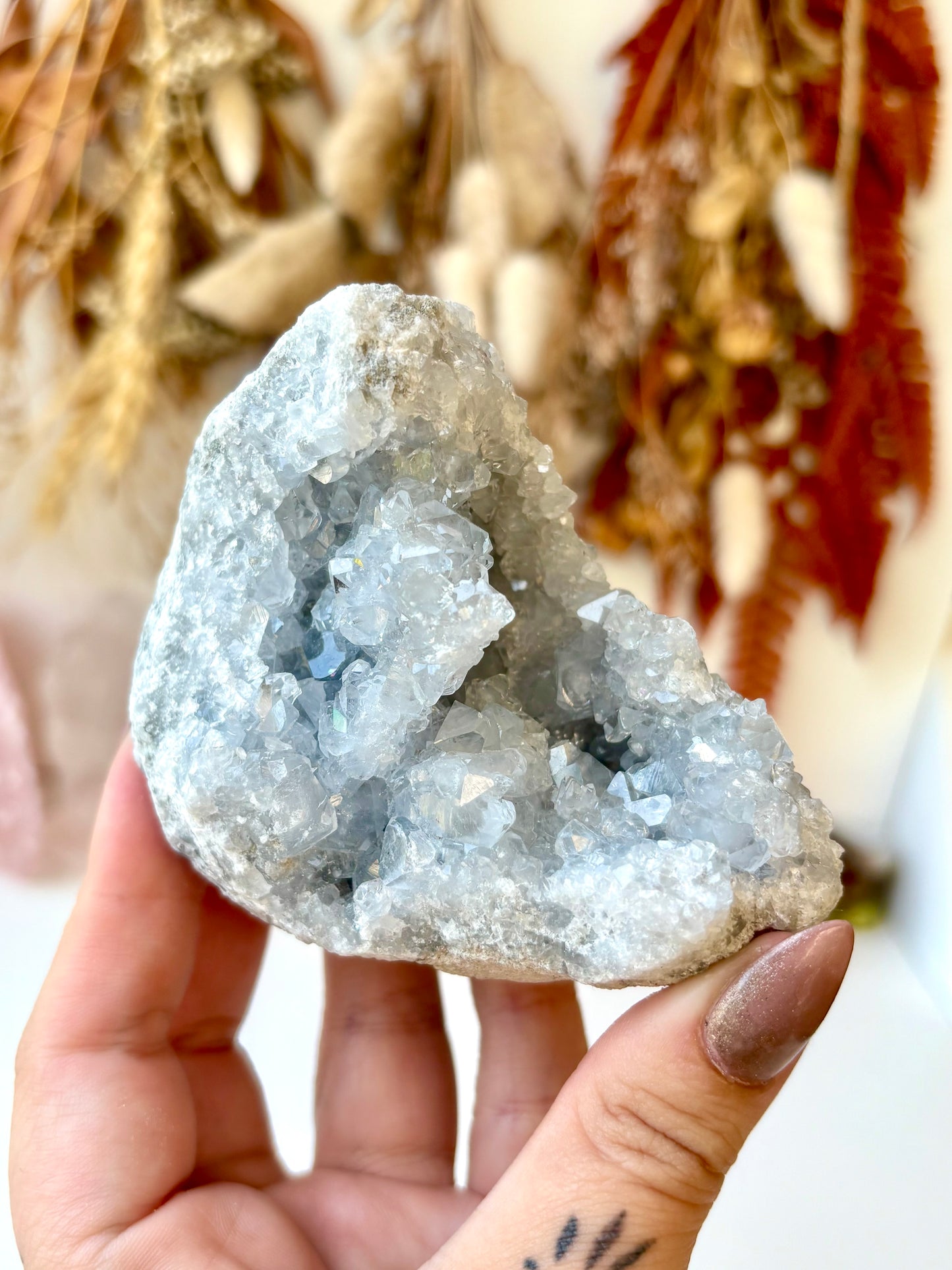Celestite Geode