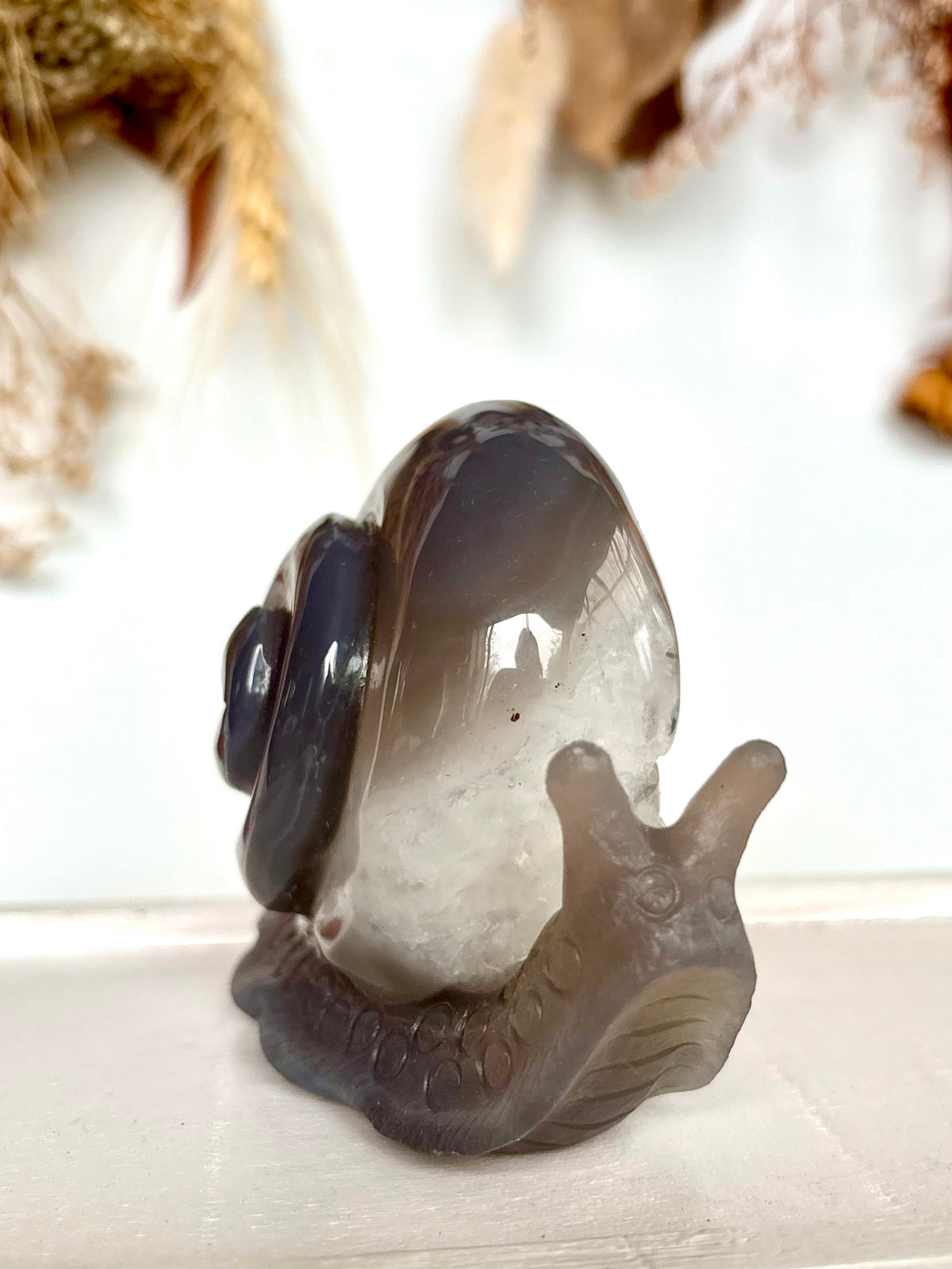 Agate Druse House Snail (his name is Simon)