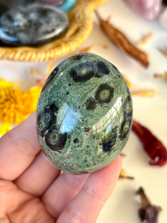 Kambaba Jasper Palm