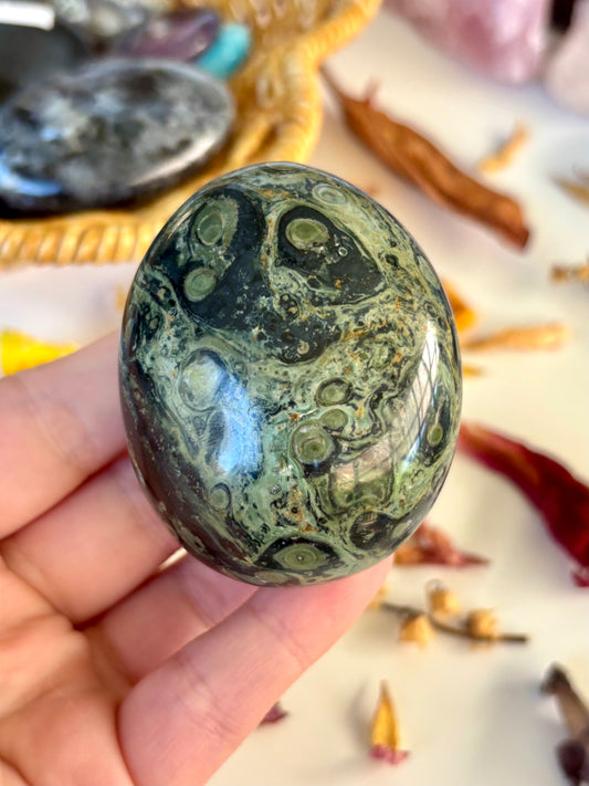 Kambaba Jasper Palm