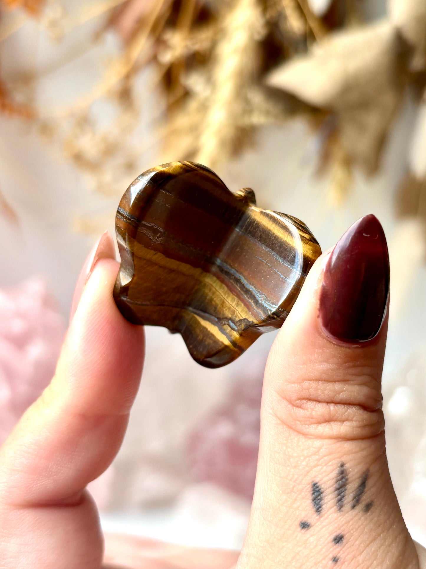 Tiger Eye Butterfly