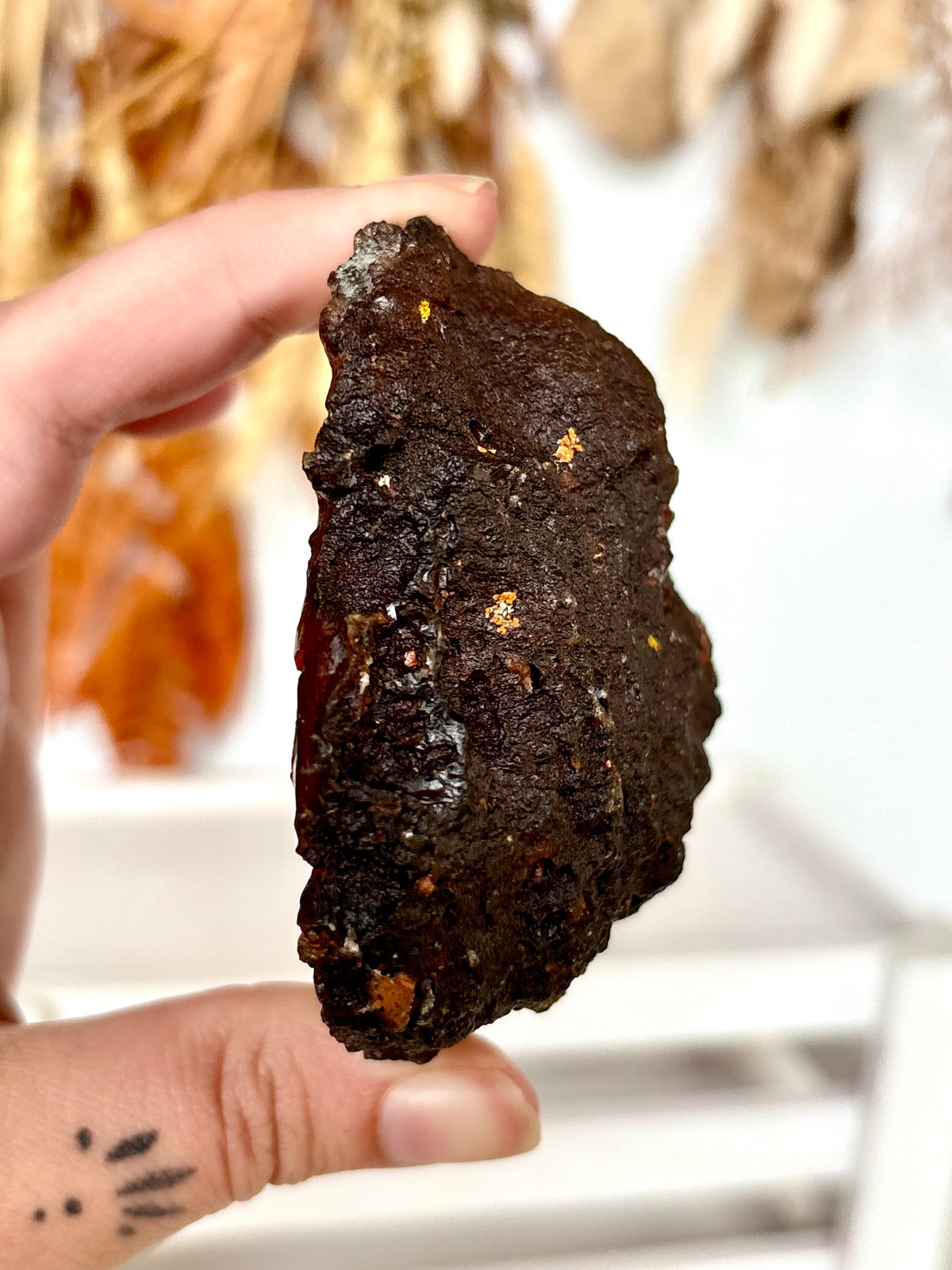 Red Fox Agate Botryoidal Geode (Rare) (02)