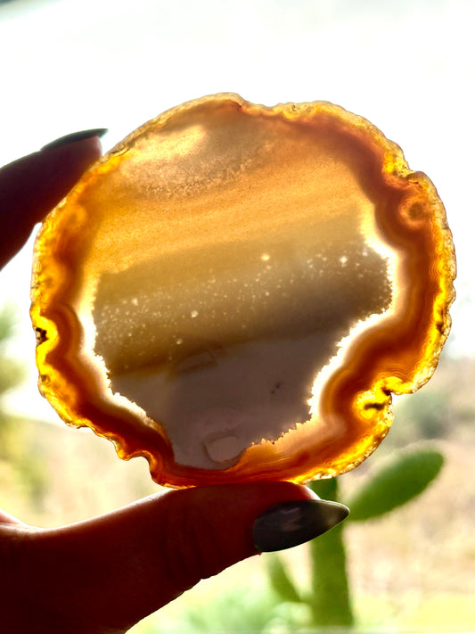 Agate Slice (1)