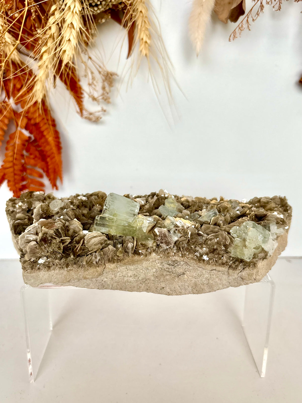 Aquamarine Crystals on Muscovite - Pakistan
