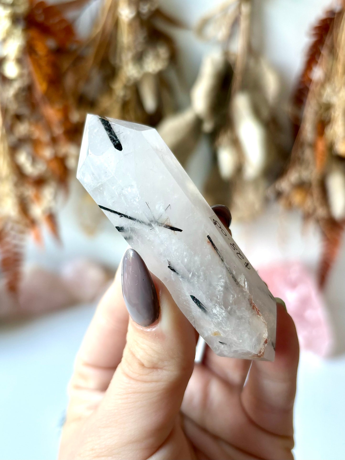 Black Tourmaline in Quartz DT