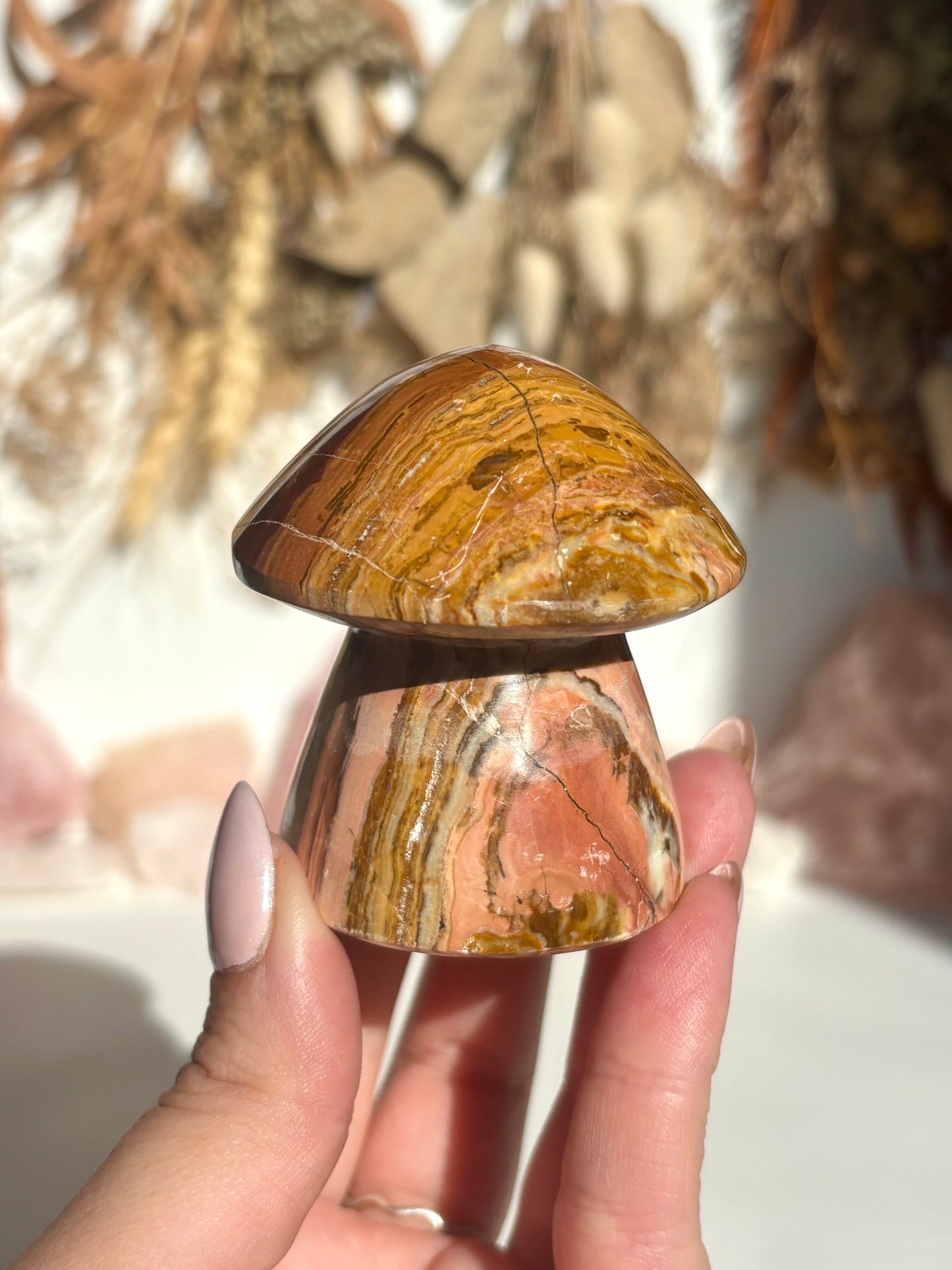 Banded Onyx Mushroom (Calcite)
