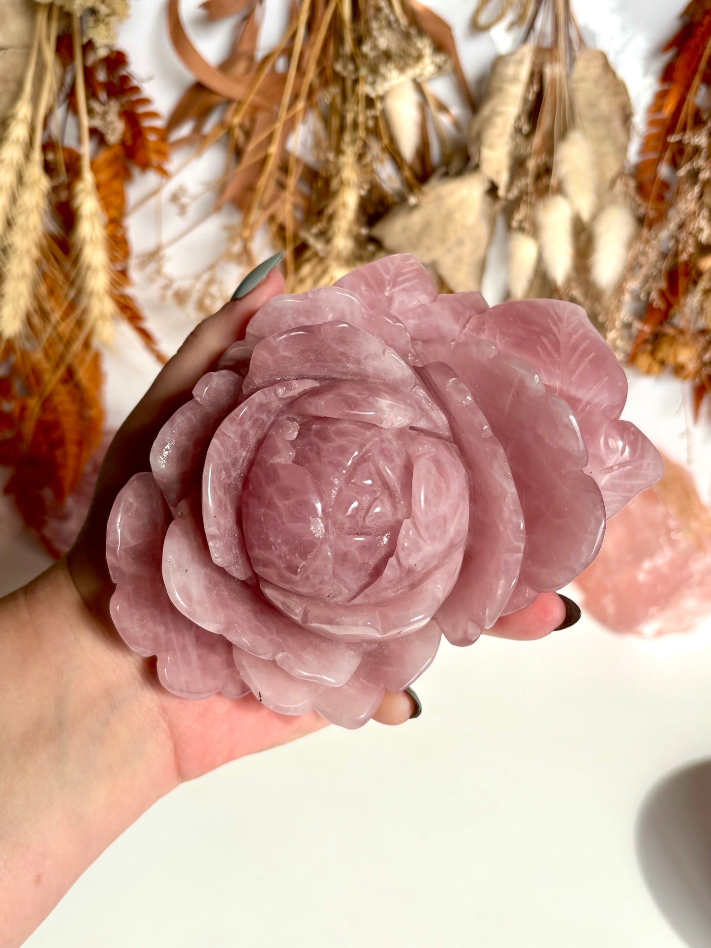 Large Rose Quartz Rose