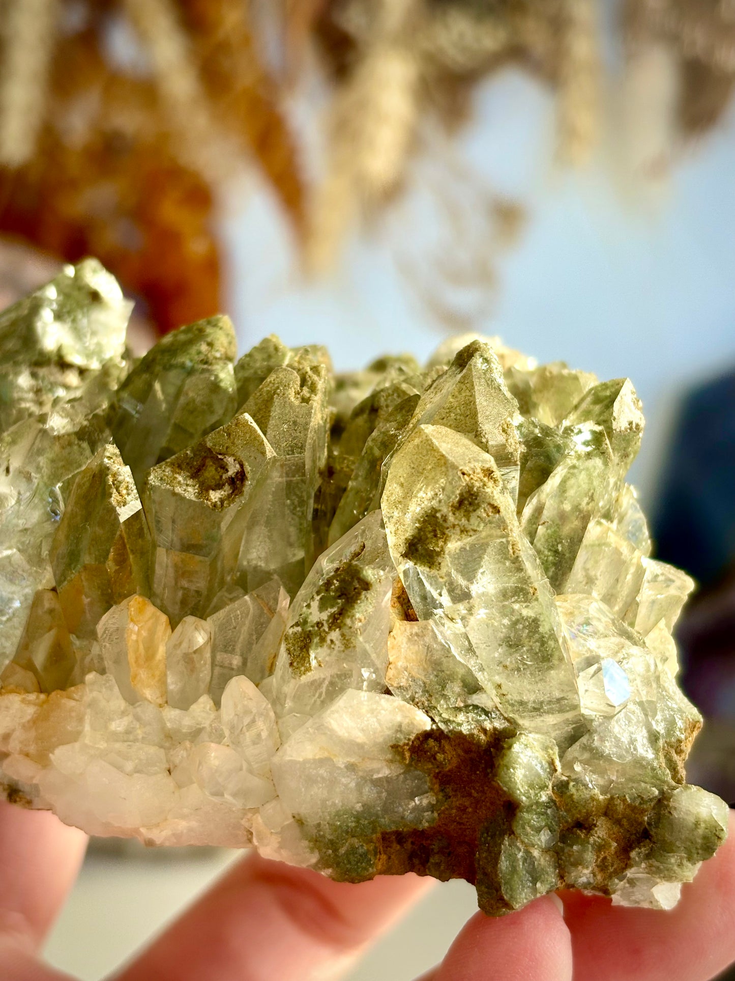 Chlorite Included Quartz