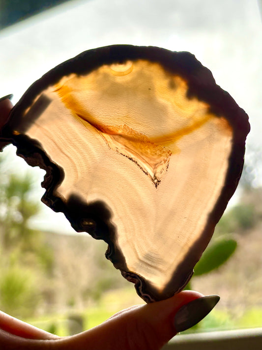 Agate Slice (2)