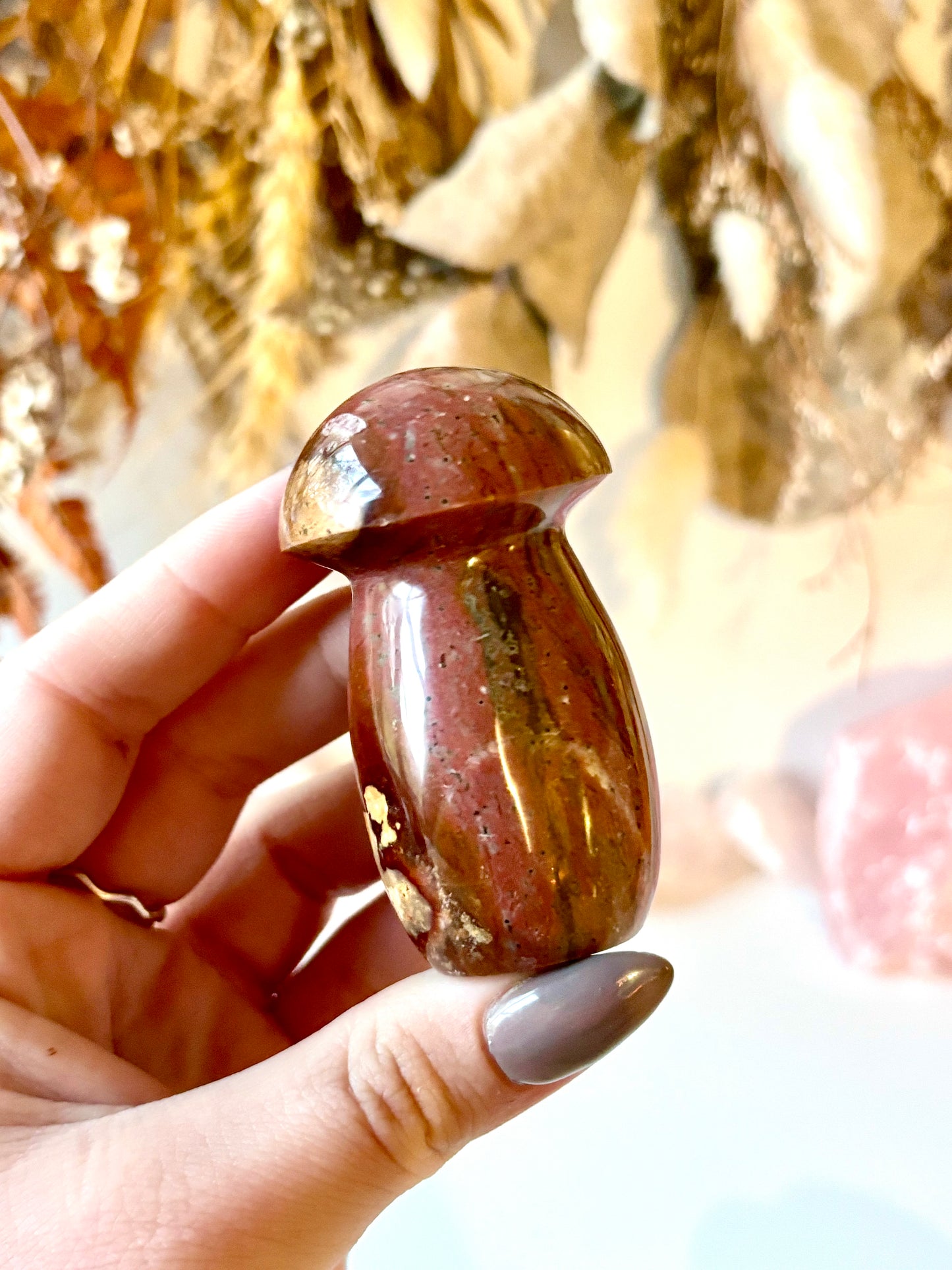 Ocean Jasper Mushroom (B)