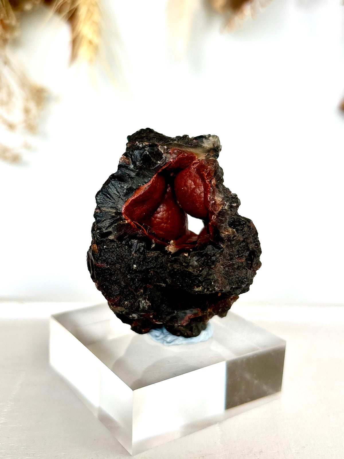Red Fox Agate Botryoidal Geode (Rare)