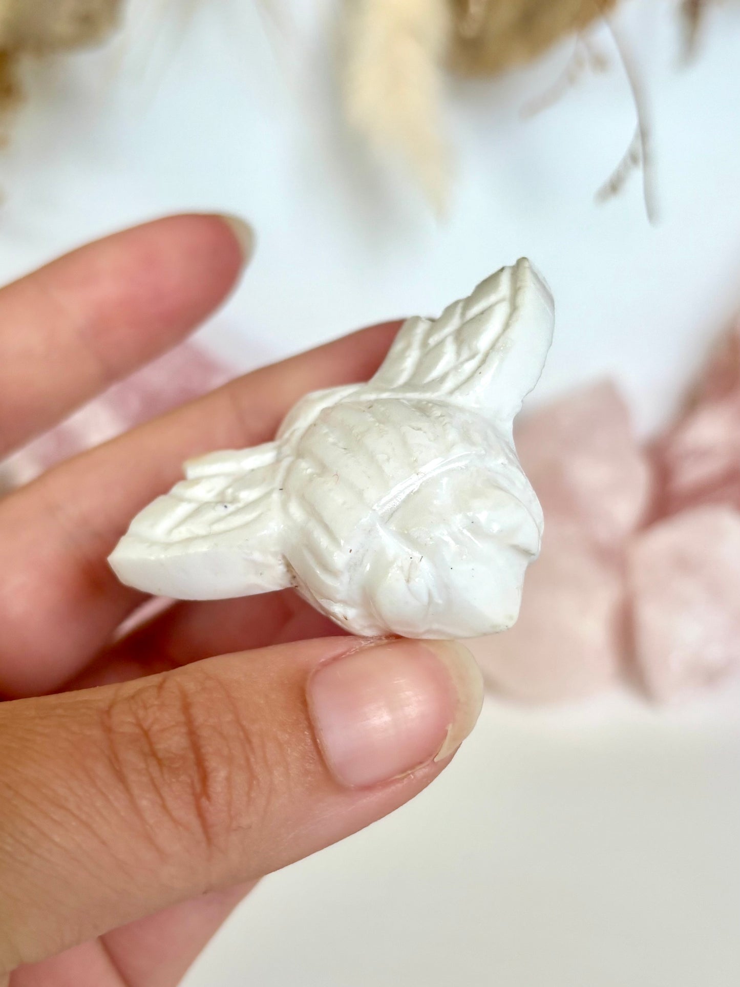 White Plume Agate Bee (3)
