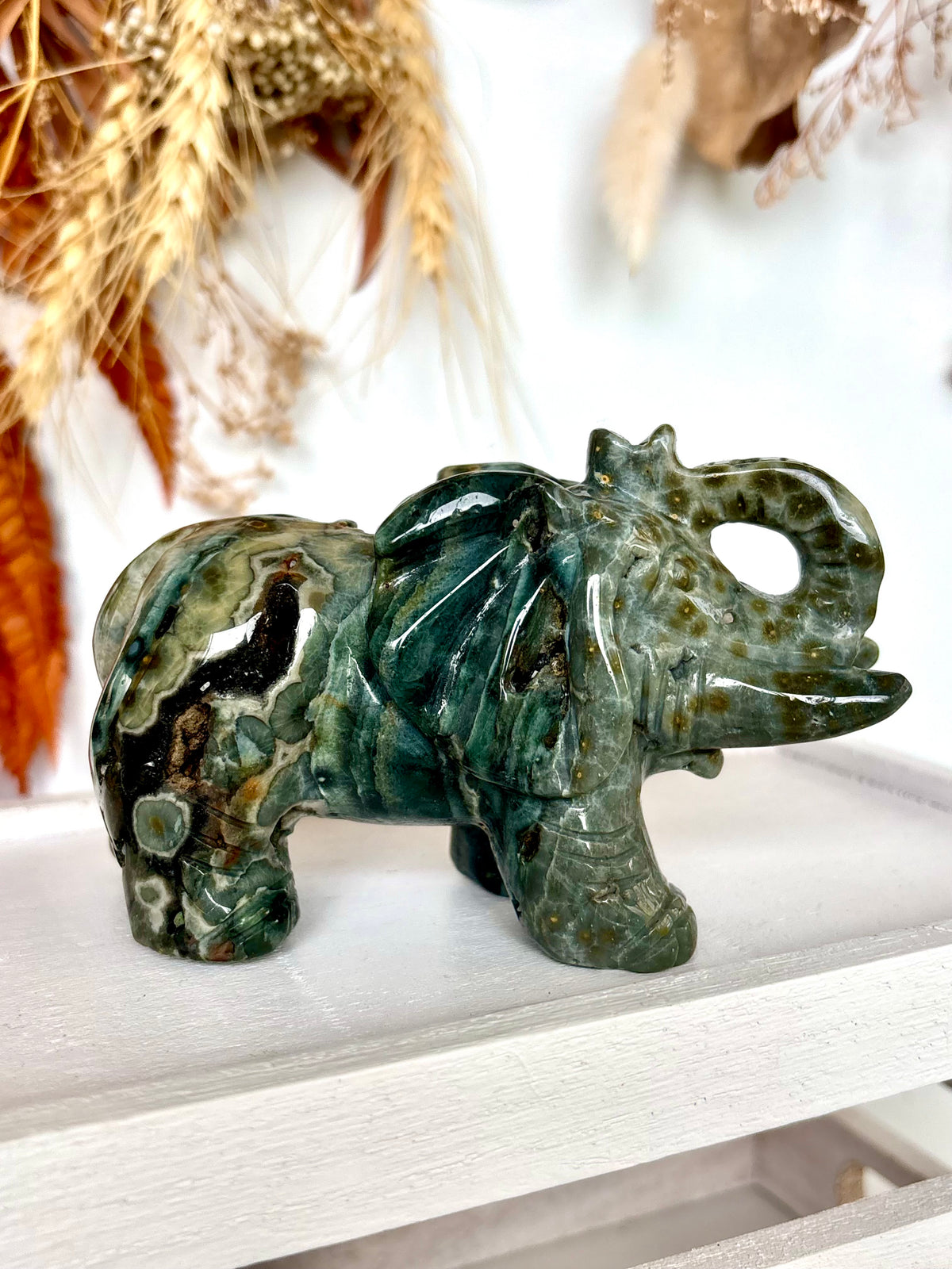 Ocean Jasper Elephant