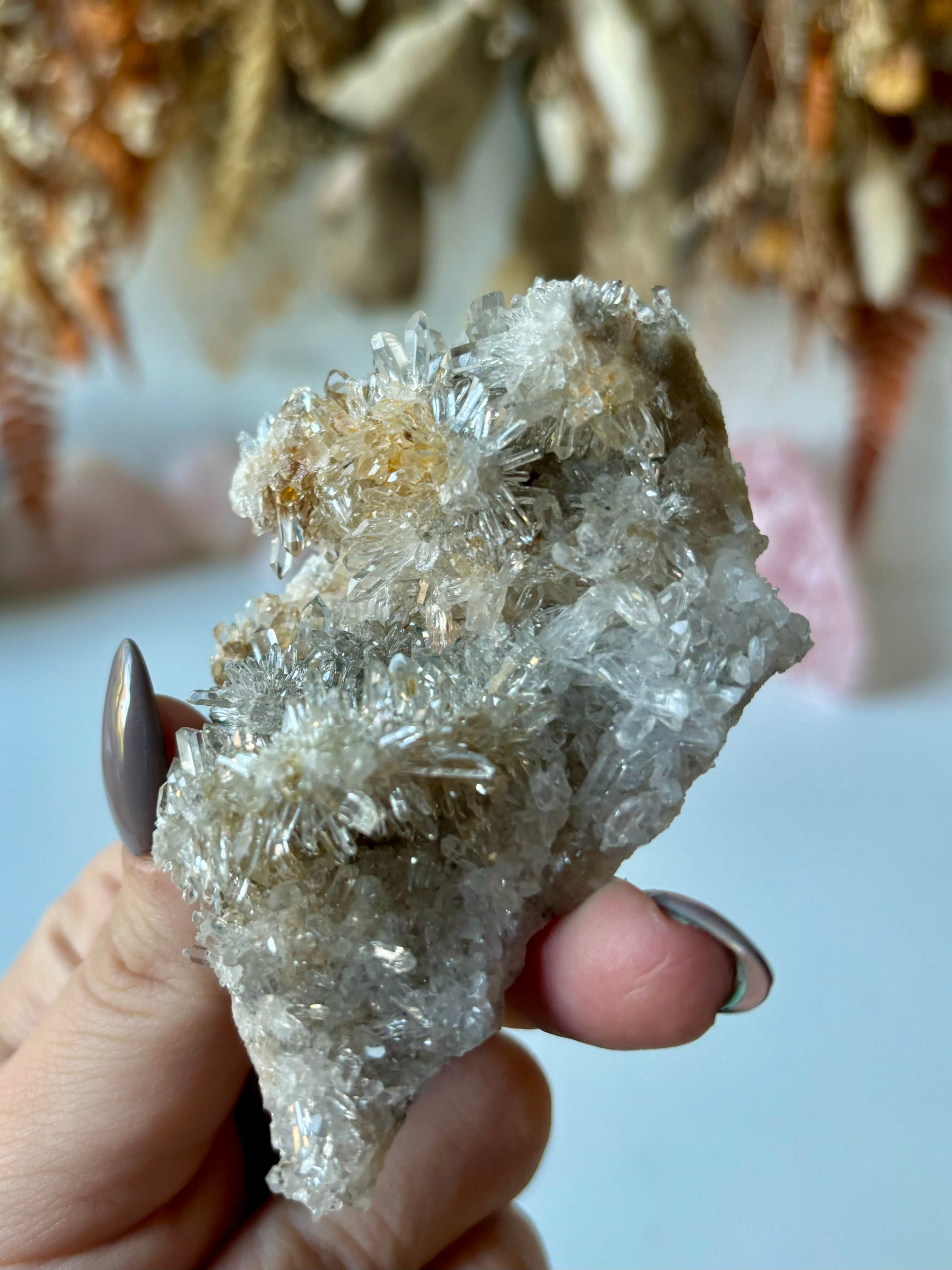 Chrysanthemum Quartz – Soren & Rayne